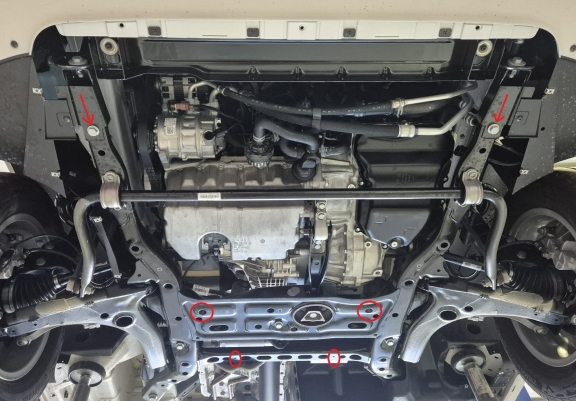 Unterfahrschutz für Motor der MAN Tge